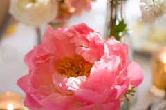 Peonies